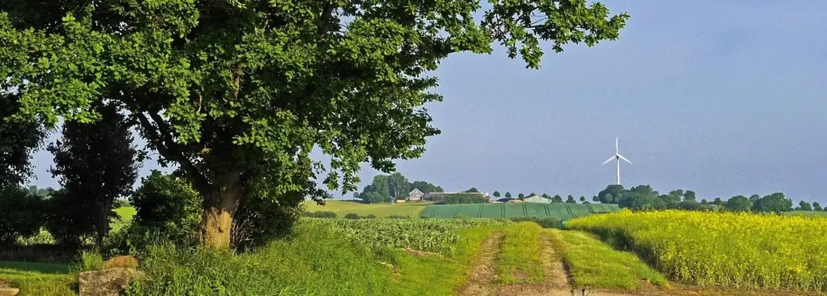 Основное изображение статьи