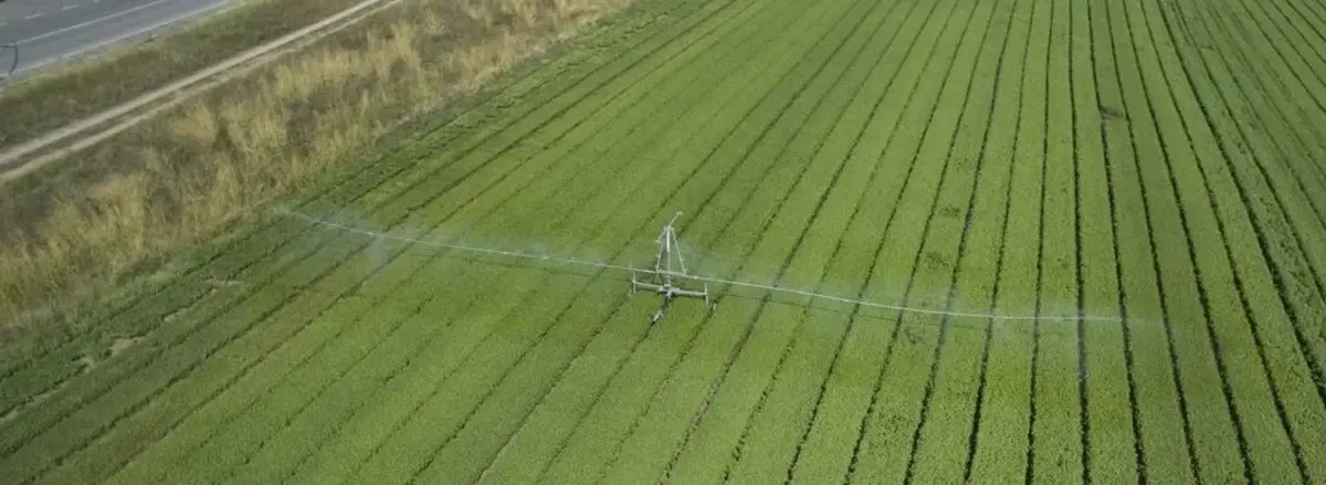 Основное изображение статьи