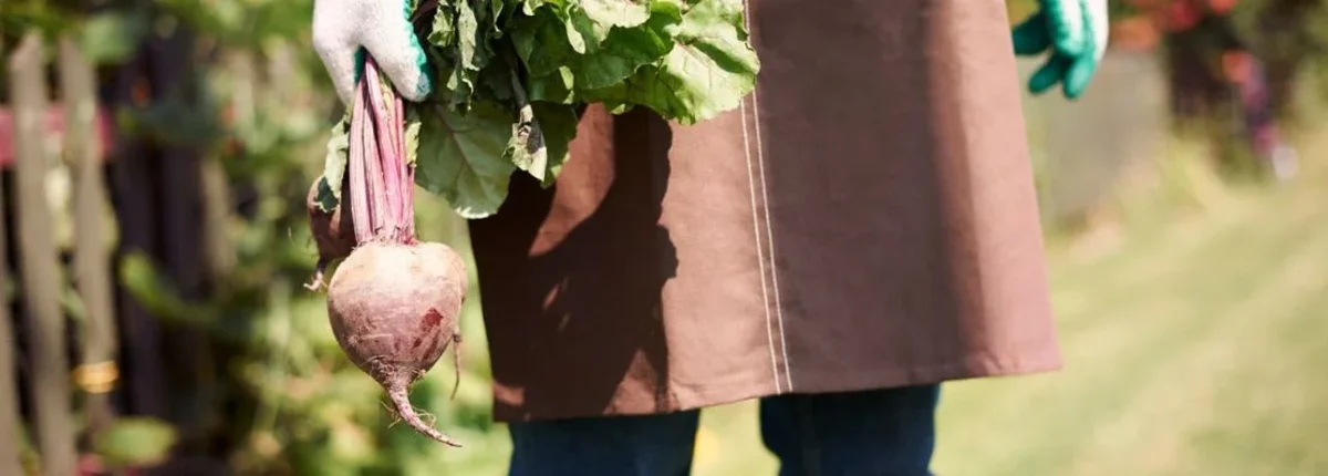 Основное изображение статьи