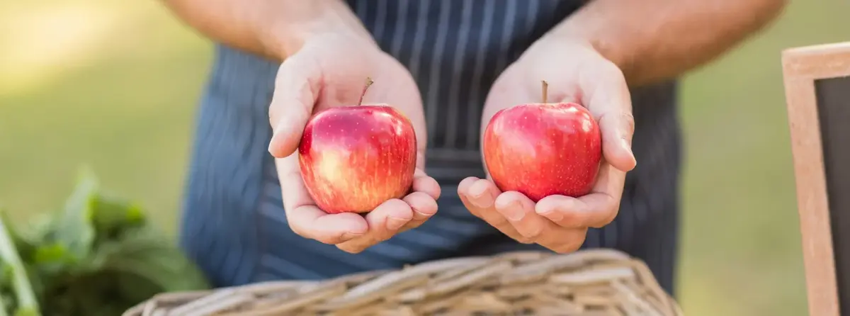 Основное изображение статьи