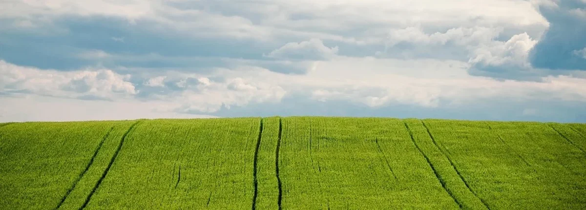 Основное изображение статьи