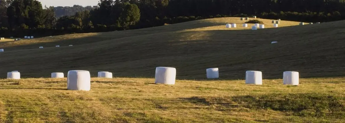 Основное изображение статьи