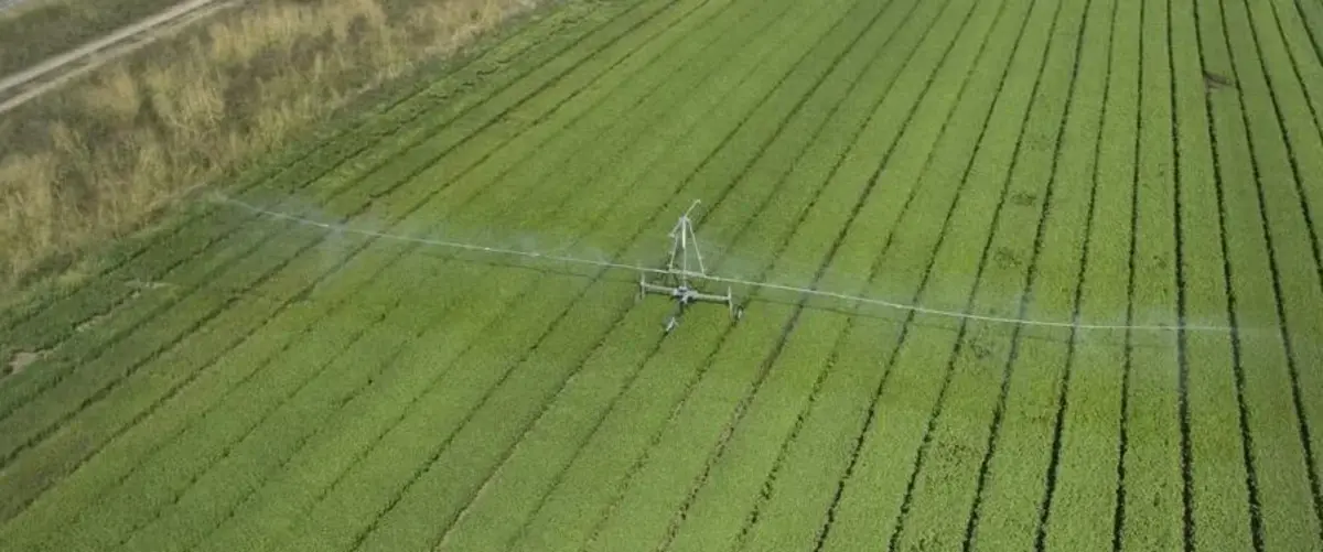 Основное изображение статьи