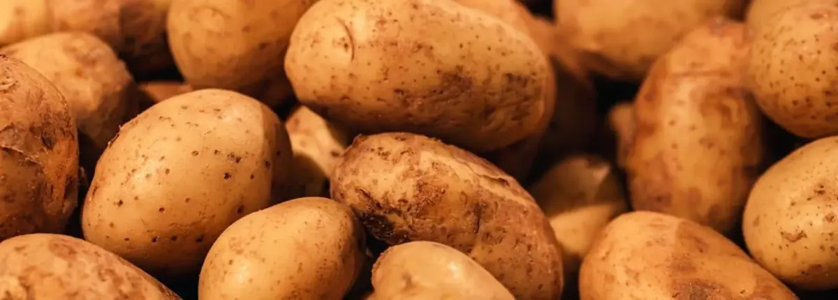 Основное изображение статьи