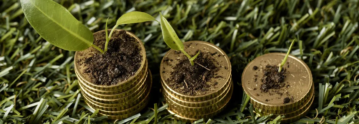 Основное изображение статьи