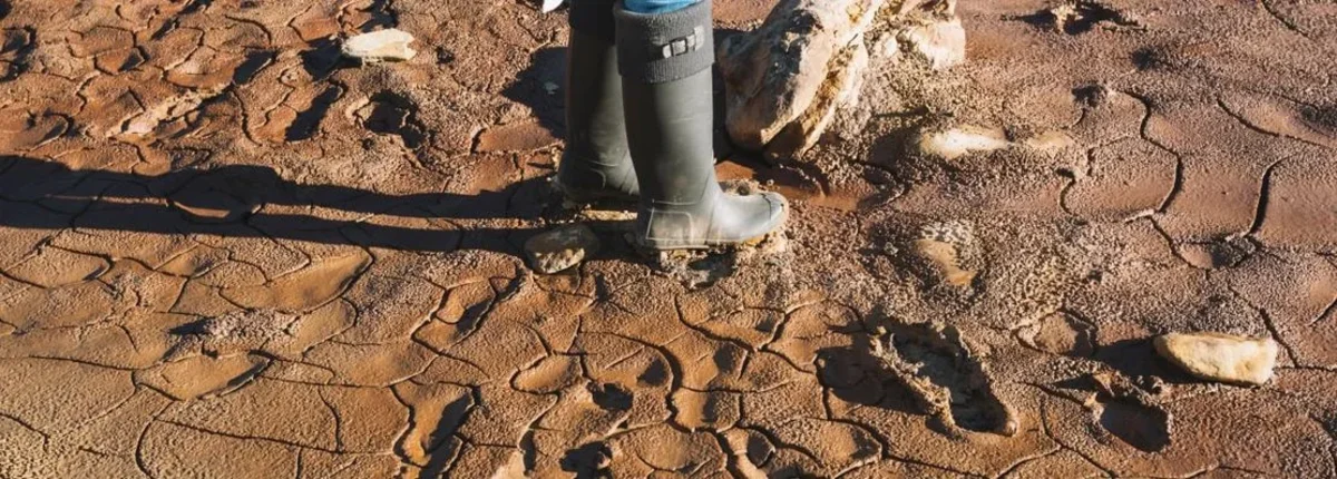 Основное изображение статьи