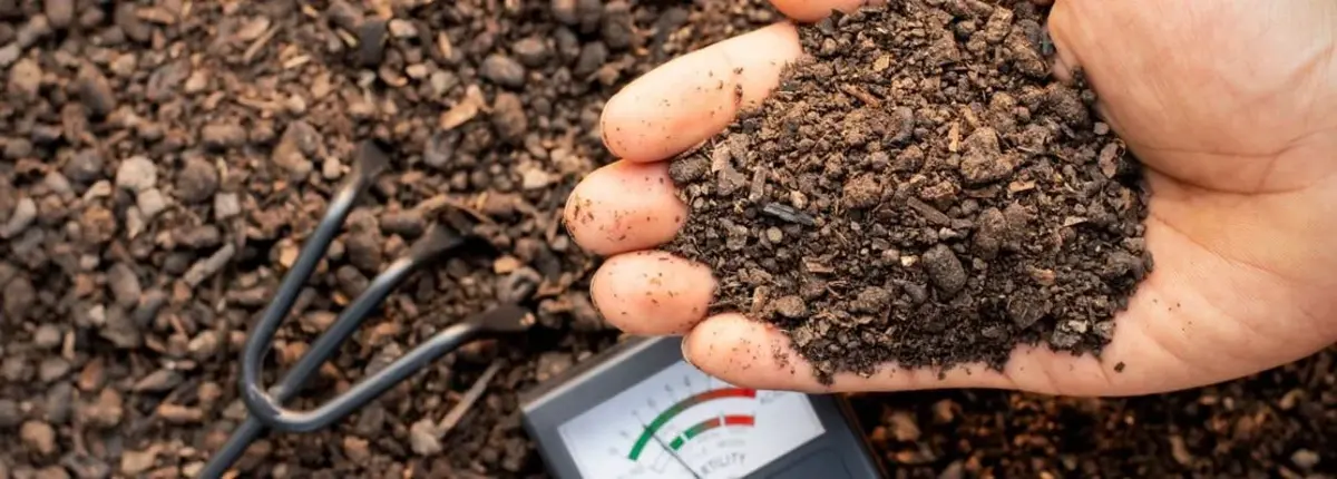 Основное изображение статьи