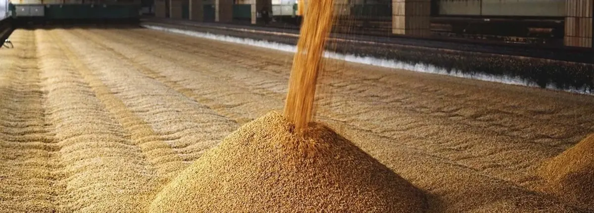 Основное изображение статьи