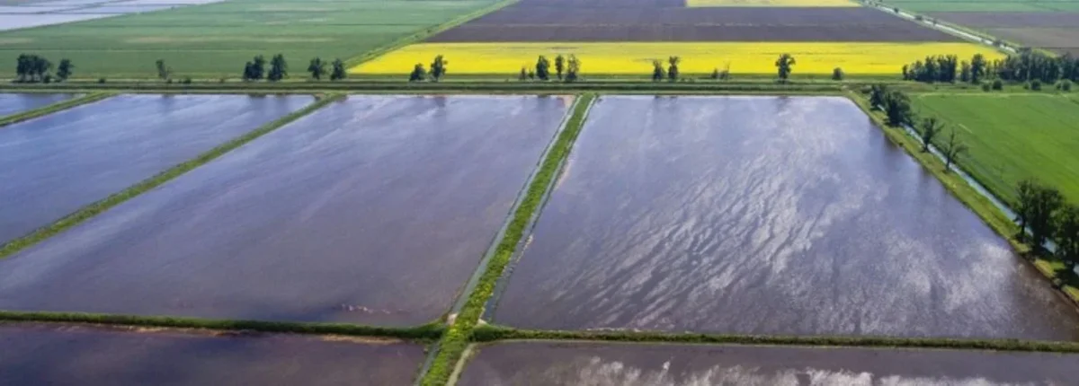 Основное изображение статьи