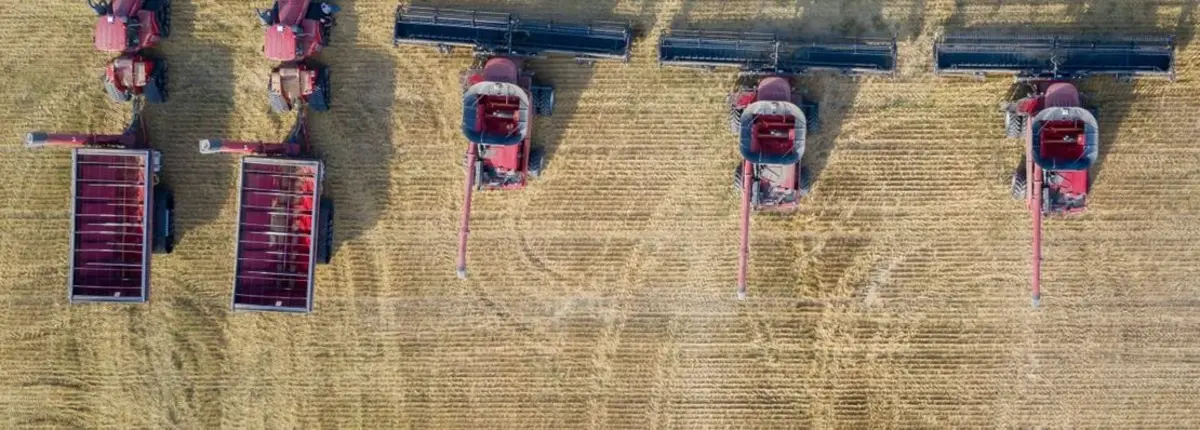 Основное изображение статьи