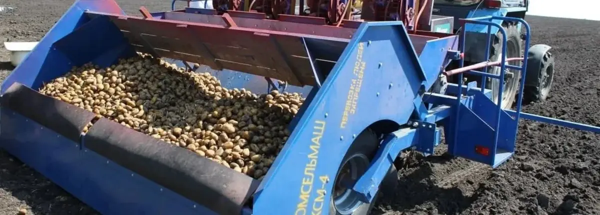 Основное изображение статьи