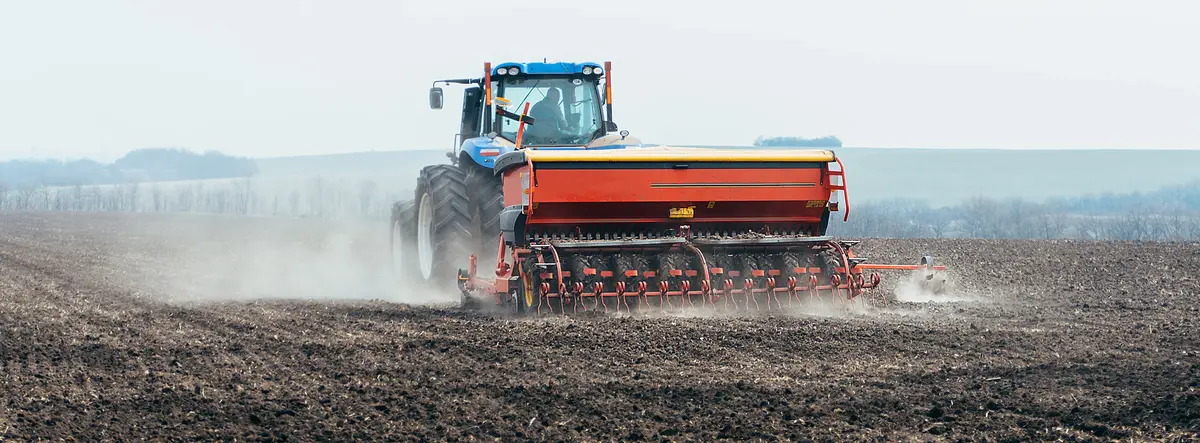 Основное изображение статьи