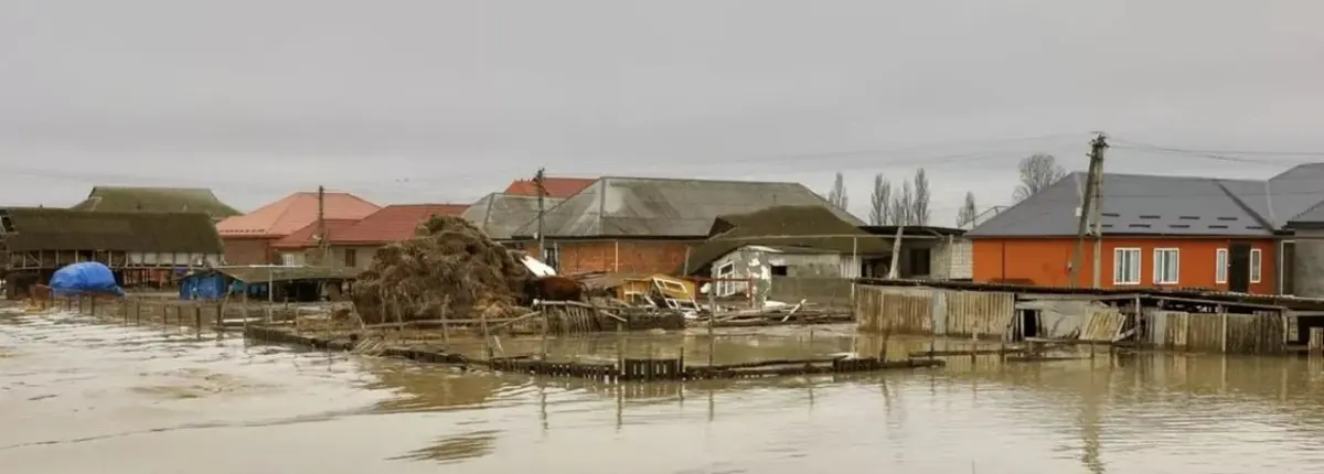 Основное изображение статьи