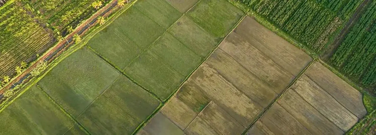 Основное изображение статьи