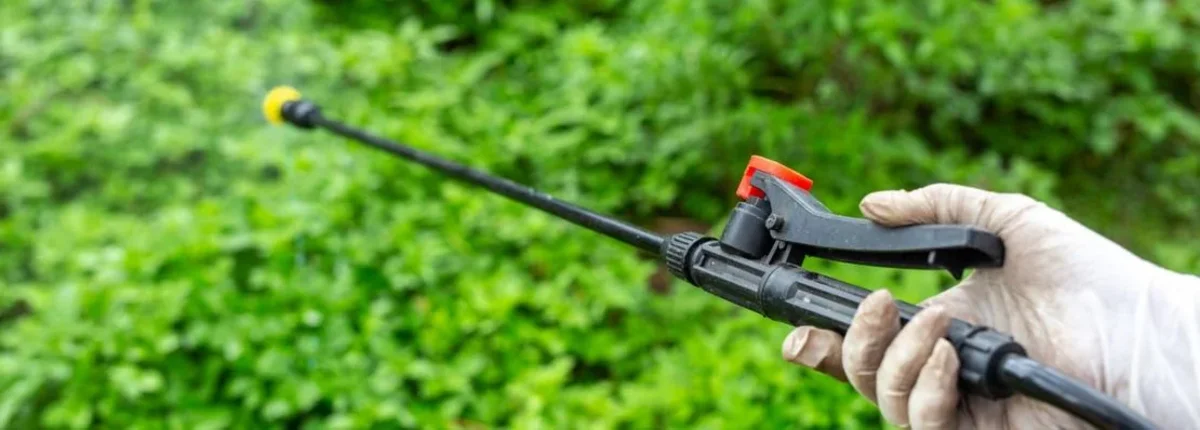 Основное изображение статьи