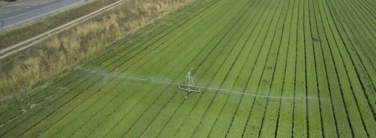 Основное изображение статьи