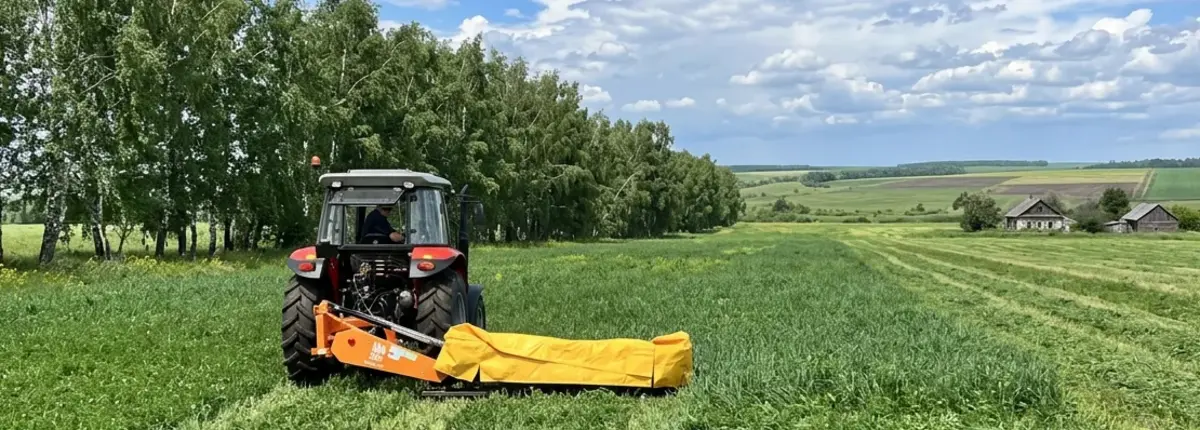 Основное изображение статьи