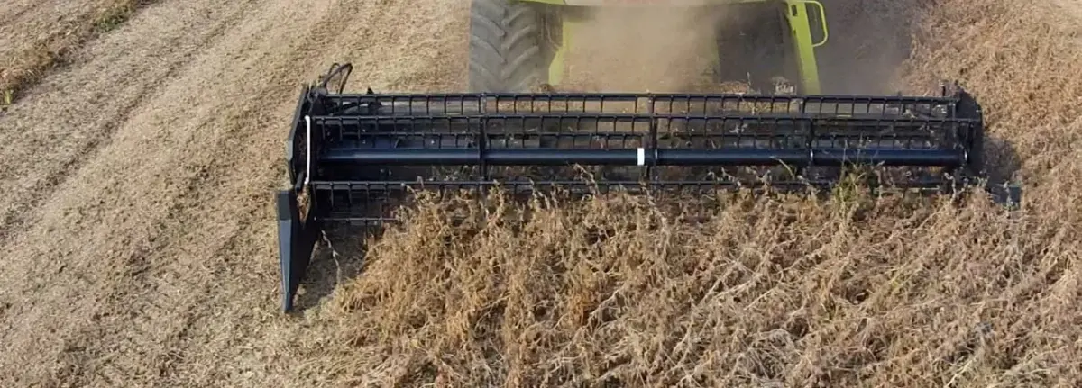 Основное изображение статьи