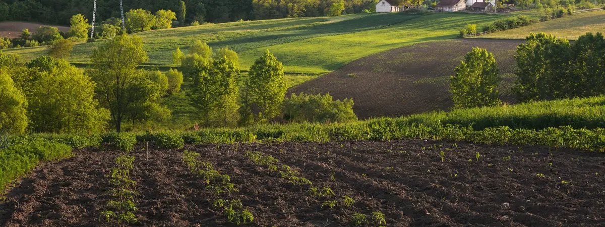 Основное изображение статьи