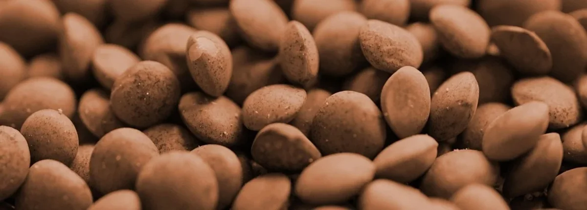 Основное изображение статьи