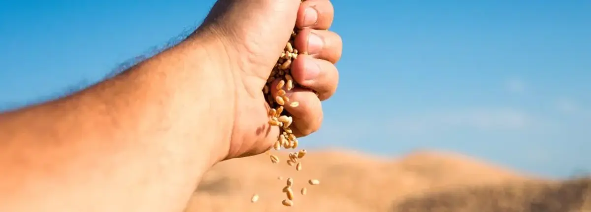 Основное изображение статьи