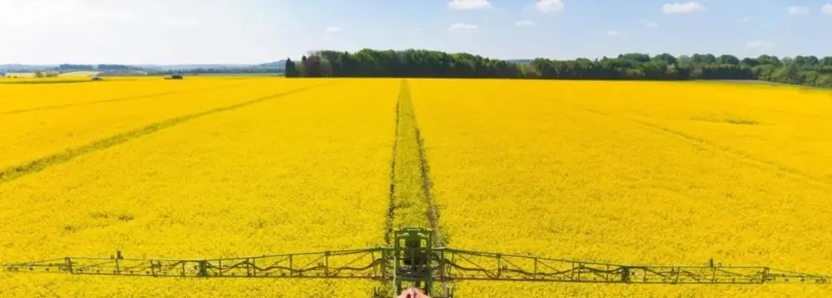 Основное изображение статьи