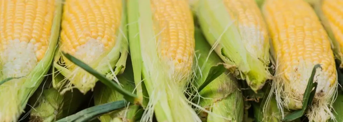 Основное изображение статьи