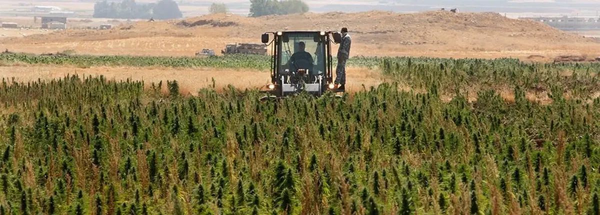 Основное изображение статьи