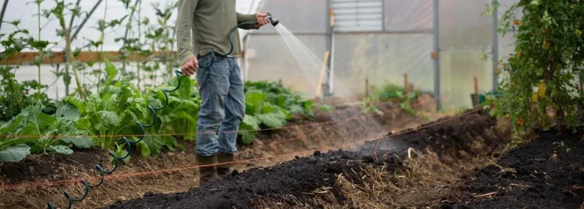 Основное изображение статьи