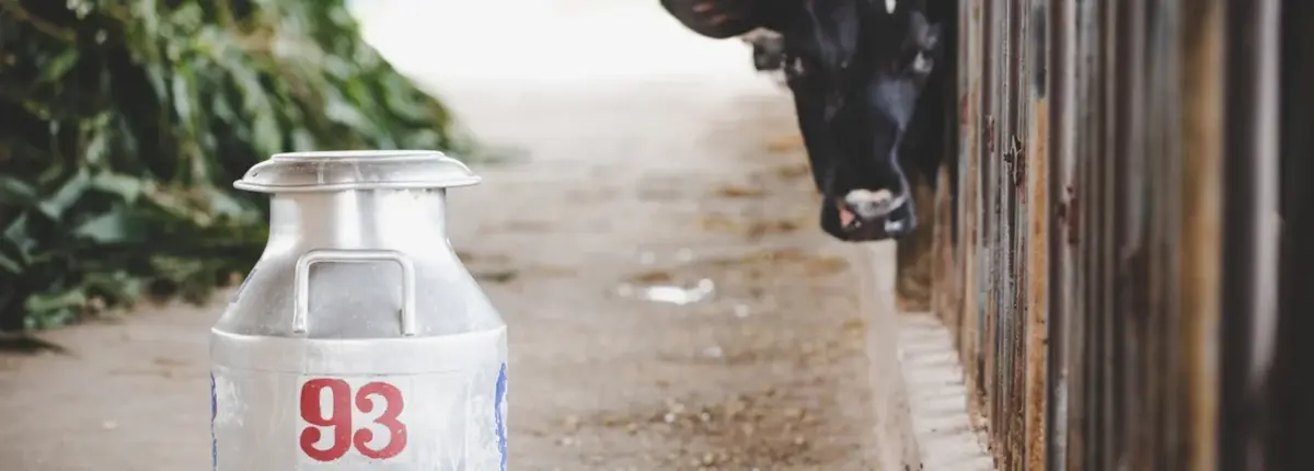 Основное изображение статьи