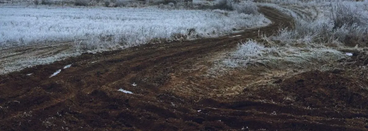 Основное изображение статьи