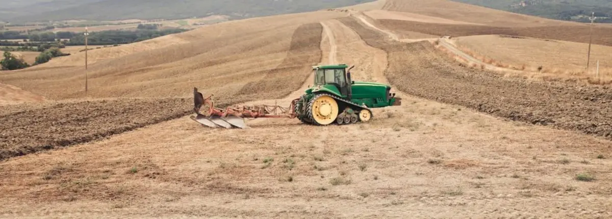 Основное изображение статьи