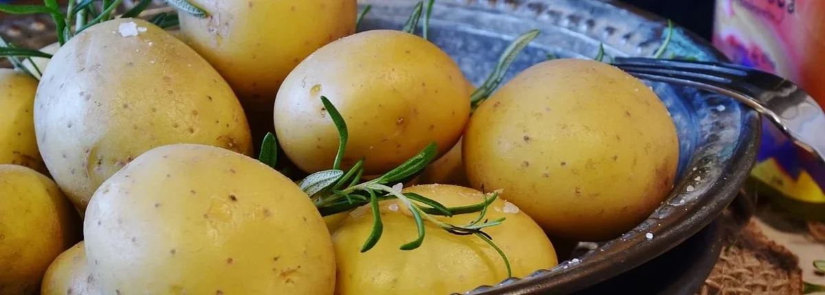 Основное изображение статьи