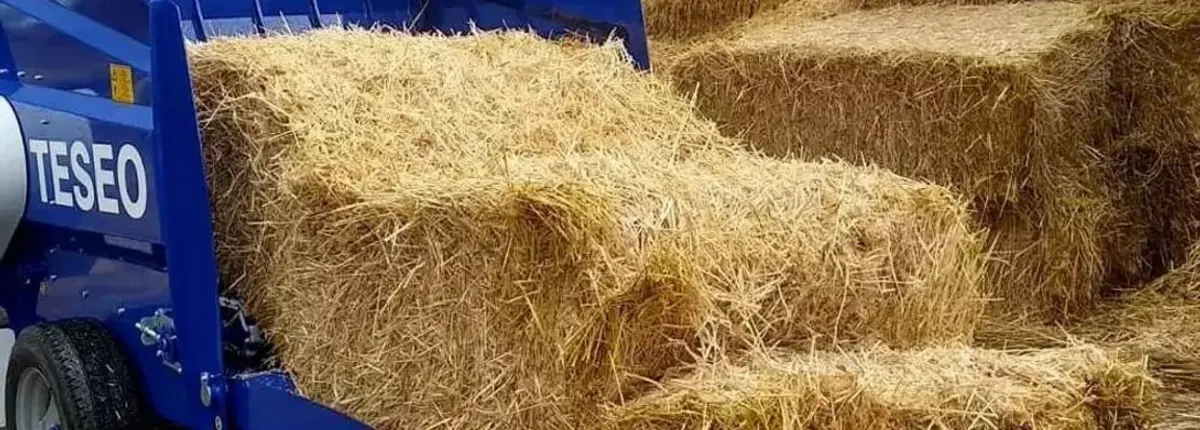 Основное изображение статьи
