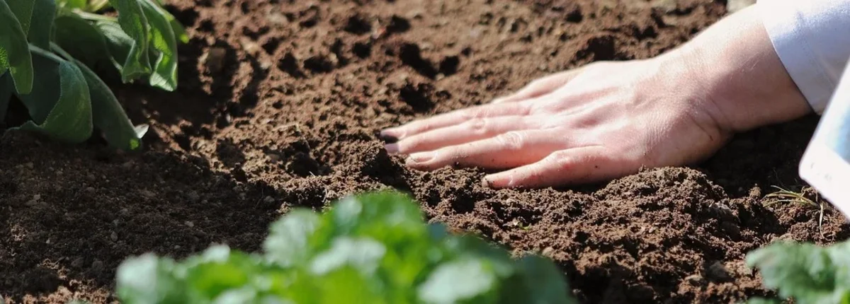 Основное изображение статьи