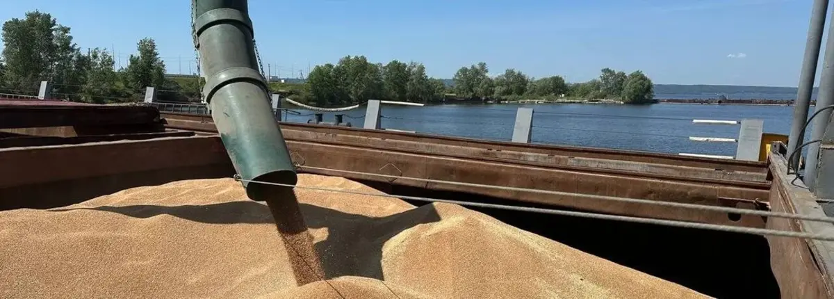 Основное изображение статьи