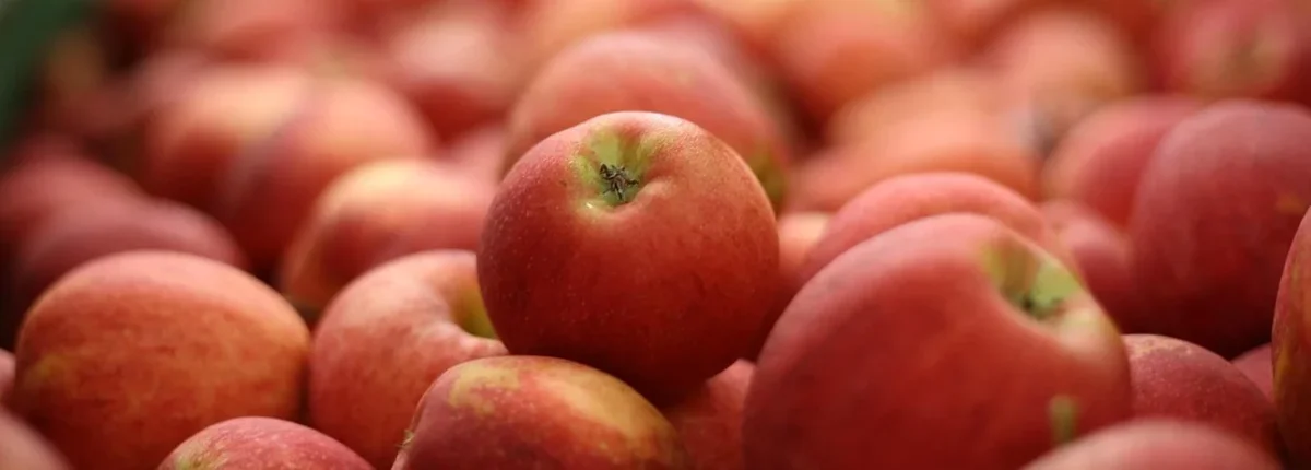 Основное изображение статьи