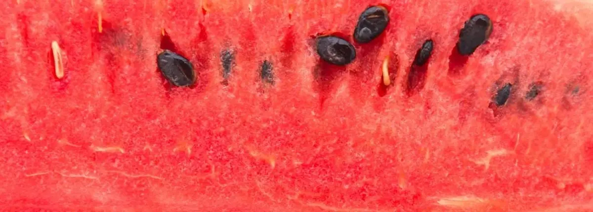 Основное изображение статьи