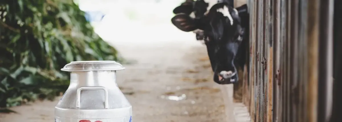 Основное изображение статьи