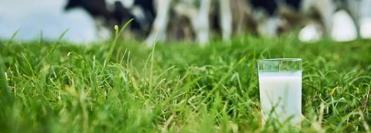 Основное изображение статьи